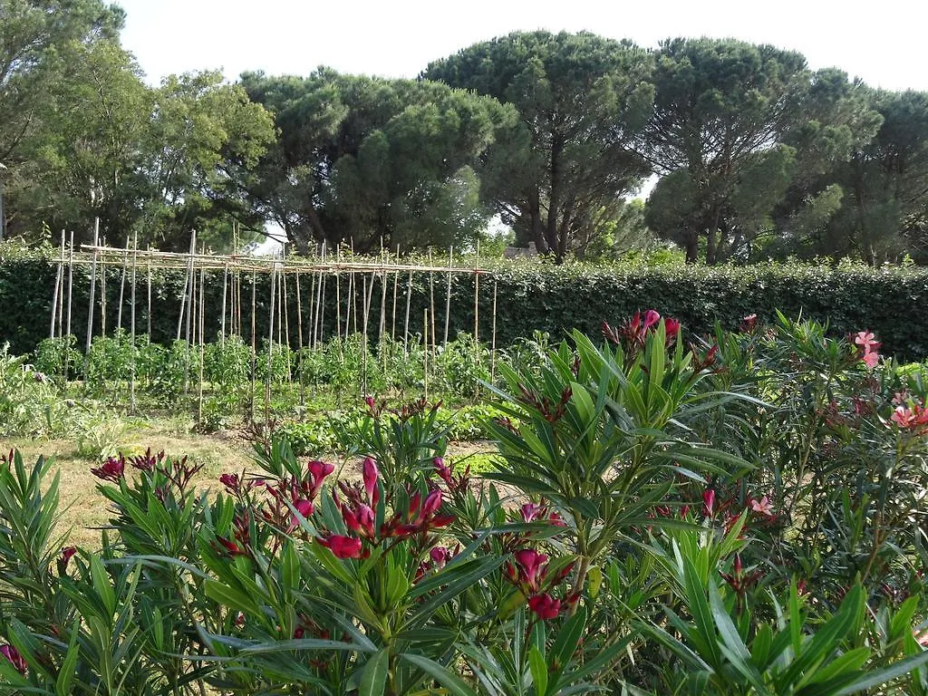 Chambres D'Hotes Villa Alize Grimaud Bed and Breakfast